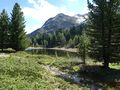 Hahnensee, 2017